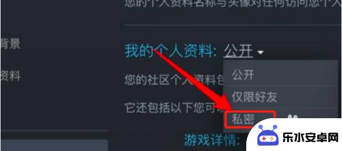 steam动态怎么隐藏 怎样在Steam中隐藏我的游戏成就动态