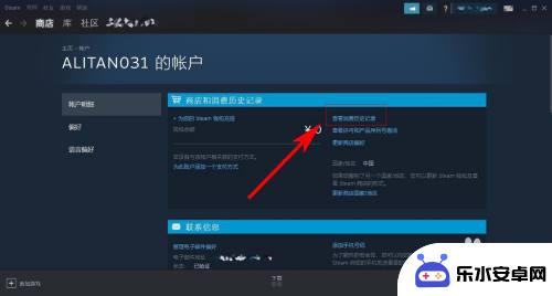 怎么测自己steam价值 怎样看Steam账号的价值高低