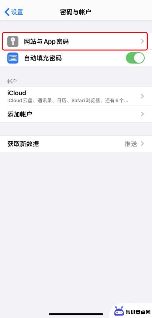 手机账号怎么查密码 如何在iPhone上查看已保存的密码