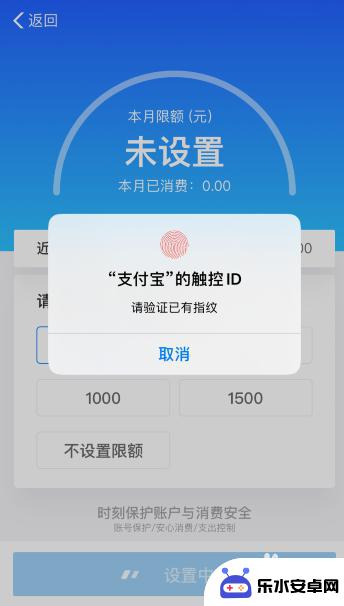 苹果手机如何设置支付限额 苹果手机支付限额如何设置